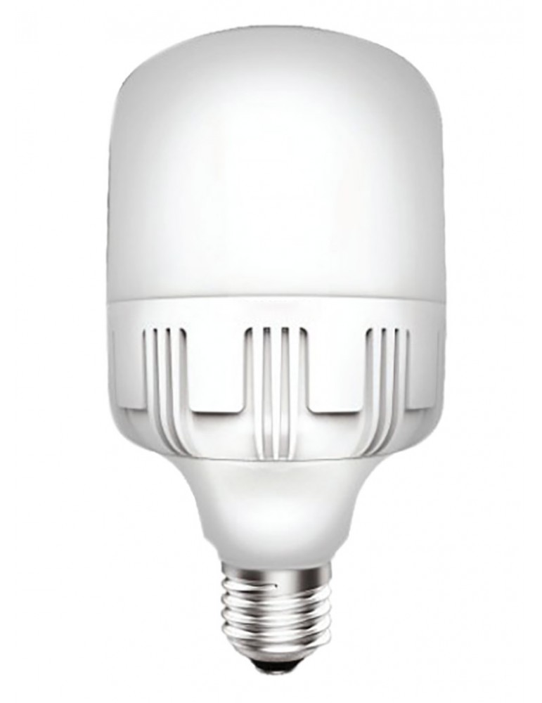 FOCO LED  30W 6500K 100-240V